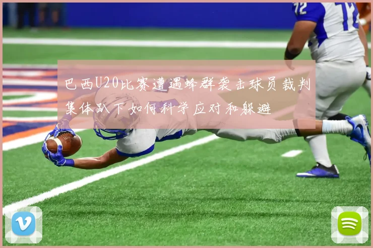 巴西U20比赛遭遇蜂群袭击球员裁判集体趴下如何科学应对和躲避