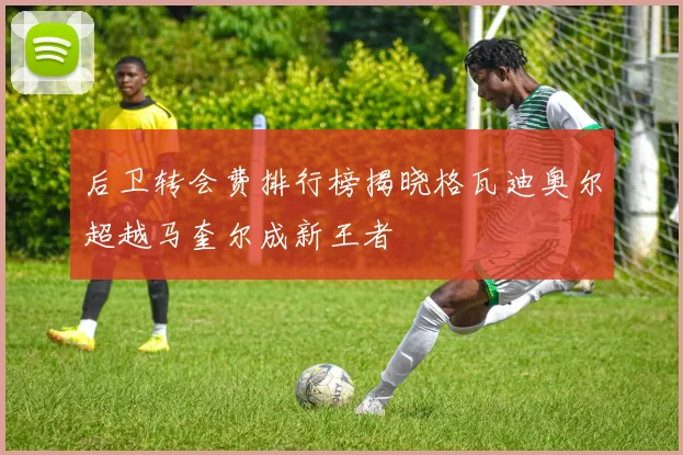 后卫转会费排行榜揭晓格瓦迪奥尔超越马奎尔成新王者