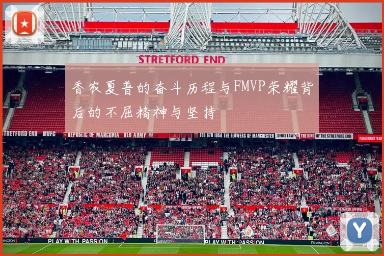 香农夏普的奋斗历程与FMVP荣耀背后的不屈精神与坚持