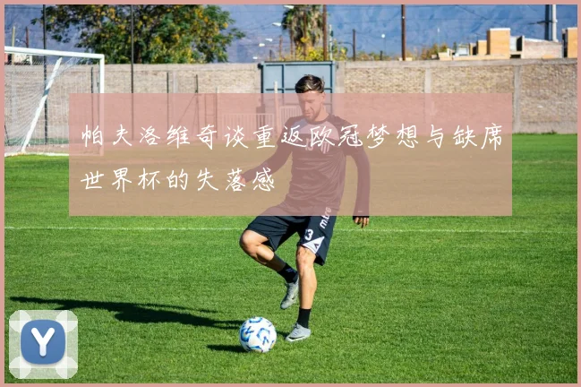 帕夫洛维奇谈重返欧冠梦想与缺席世界杯的失落感