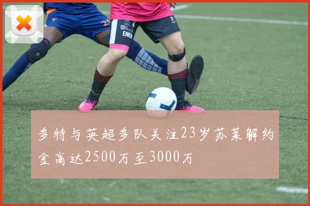 多特与英超多队关注23岁苏莱解约金高达2500万至3000万