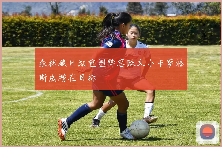 森林狼计划重塑阵容欧文小卡萨格斯成潜在目标